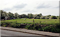 A field by Smithies Moor Lane, Batley