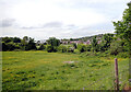 A field by Smithies Moor Lane, Batley