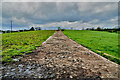 Concrete lane along a field, Derroar