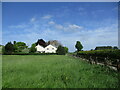 Grass field and house near Lower Layham