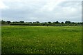 Fields beside Murton Way