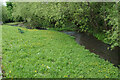 River Poulter at Langwith