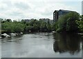 River Forth