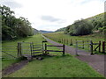 Llwybr i  Byllau Bedwellte / Path to Bedwellty Pits