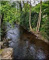 Downstream along Grwyne Fawr near Forest Coal Pit, Monmouthshire