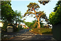 Haldon Road, Torquay