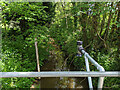 Burstow Stream at Peeks Brook Lane