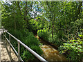 Burstow Stream at Peeks Brook Lane