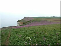 TA1774 : England Coast Path at Buckton Cliffs by Oliver Dixon