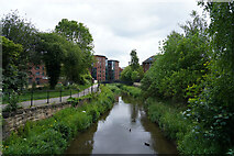 SK3436 : The Markeaton Brook by Malcolm Neal