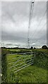 Powerlines over New Westage Farm