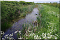 Grantham Canal, near Barkestone-le-Vale