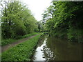 SK0716 : Trent & Mersey canal between bridges 61 and 60 by Christine Johnstone