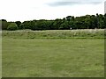 TA2069 : A corner of Bridlington Links Golf Course by Oliver Dixon