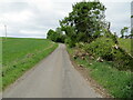 Pitgaveny Road and evidence of recently wind felled tree