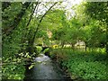 SO8664 : Mill race Hadley Brook in the spring by Jeff Gogarty