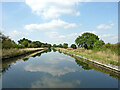 SJ8905 : Shropshire Union Canal north of Lower Pendeford, Staffordshire by Roger  Kidd