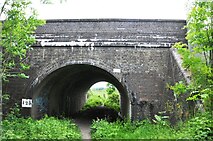 SP9219 : Bridleway under the railway line by Bob Walters