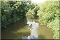 TQ6247 : River Medway by N Chadwick