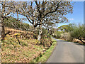 NR8655 : B842 near Coille Rubha Dhuibh by Mick Garratt