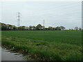 SK1015 : Cereal field under the power lines, near Tuppenhurst by Christine Johnstone