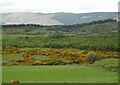 NS5196 : View towards Blarnaboard by Richard Sutcliffe