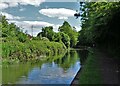 The Chesterfield Canal east of Rhodesia