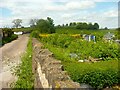 Park Road Allotments, off Amblers Croft, Thackley