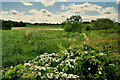 Lakemount Lough, Aghnamoe / Drummallard