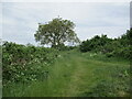 Bramford Lane Open Space