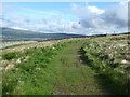 The Pennine Way near Sell Gill Hill