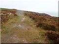 On the Coast Path heading for Strumble Head