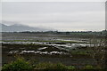 Dundrum Inner Bay