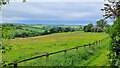 Field edge above Pingry Lane