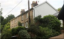 TM0239 : Terrace of houses on Stoke Road, Layham by David Howard