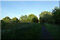 Path beside the canal