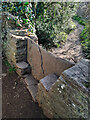 Stone Stile, Iron Acton