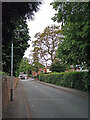 Poplar Road in Penn Fields, Wolverhampton