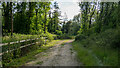 Track near Doggetts Chase, Rochford