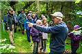 Guided tour of Feddanhill Wood for the Scottish Wildlife Trust