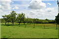 Farmland, Nutley