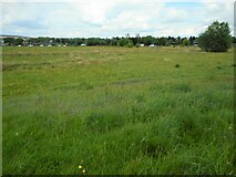 NS5170 : Area of grassland by Richard Sutcliffe