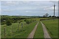 Weardale Way above Harehope Quarry