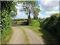 Llwybr i Bentregwine / Path to Pentregwine