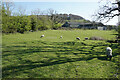 SK0579 : Sheep by Down Lee Farm by Bill Boaden