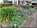 Garden on Wild Hatch, Hampstead Garden Suburb