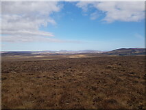 NC7827 : View eastwards from Achrimsdale Hill by Steve Smyth