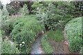 River Cherwell near Proscote Manor Farm