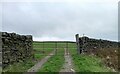 Oldfield, Hare Hill Edge