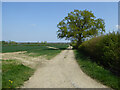 Farm track and public footpath Great Bardfield 16